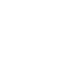 Business Plan Excellence
